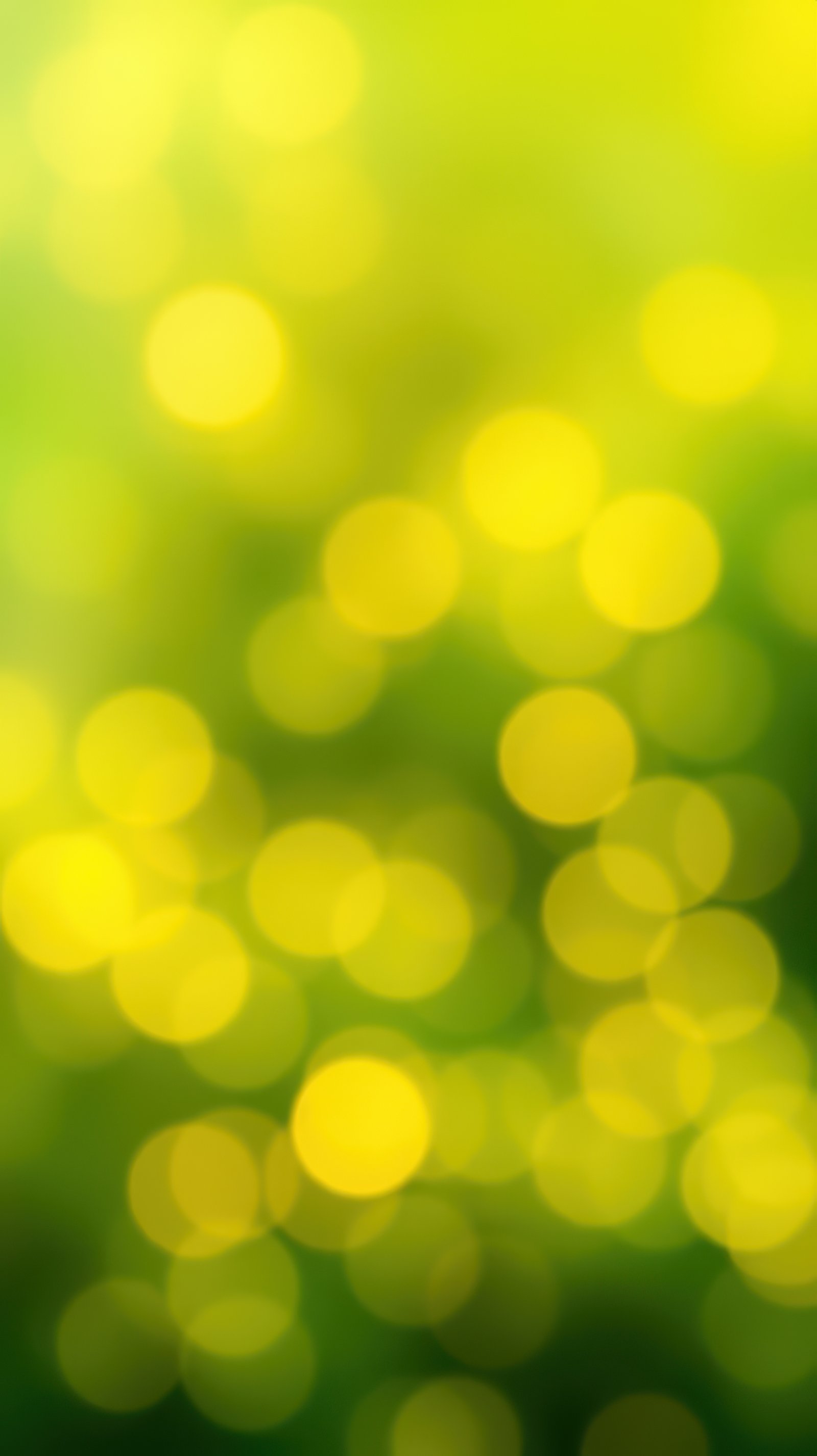 Bright yellow bokeh lights create a soft, dreamy background amidst green hues in a serene outdoor setting